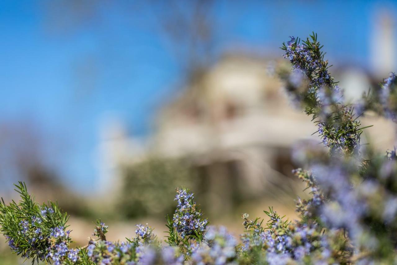 Villa Korina Pinezići Kültér fotó